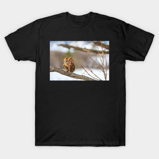 Little Darling T-Shirt